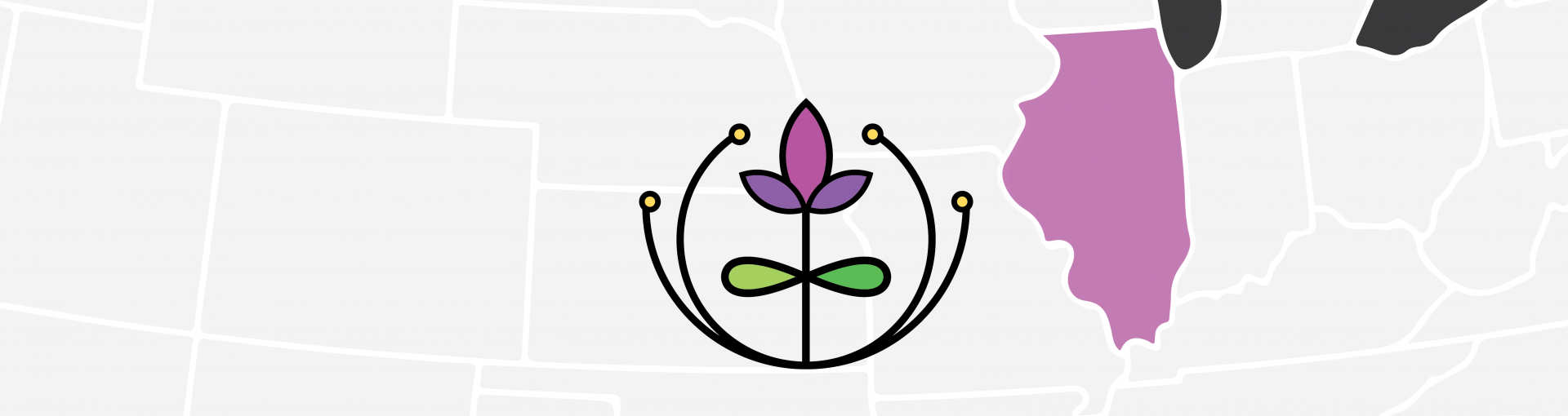 A stylized map of the central United States with Illinois highlighted in purple. Centered over the map is the IRIS logo, which features a purple flower with green leaves and curved black stems with yellow dots at the tips.