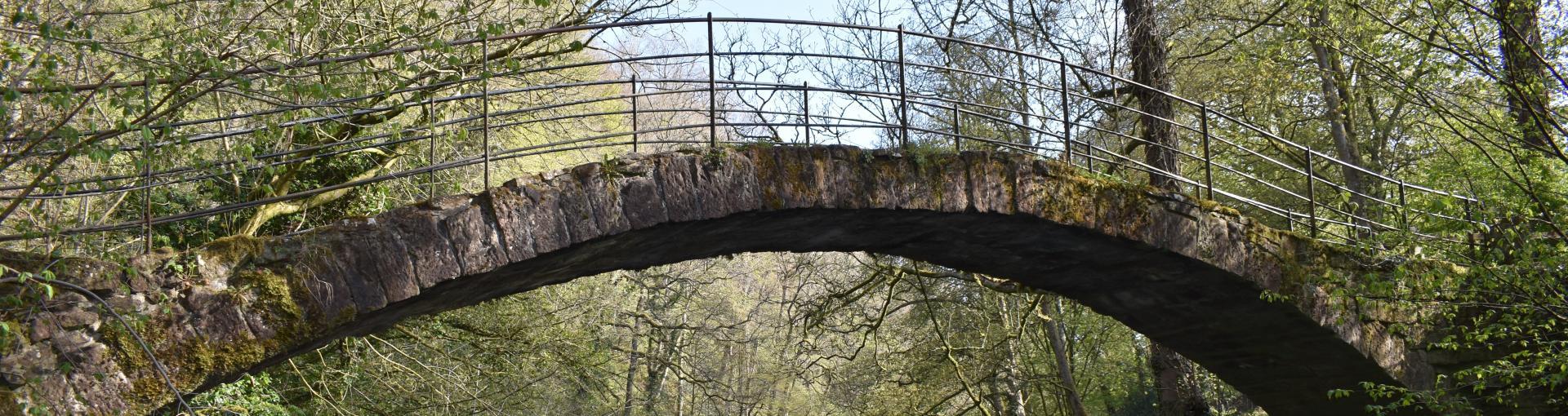 A stone arch bridge with a metal railing spans over a wooded area with trees and greenery.