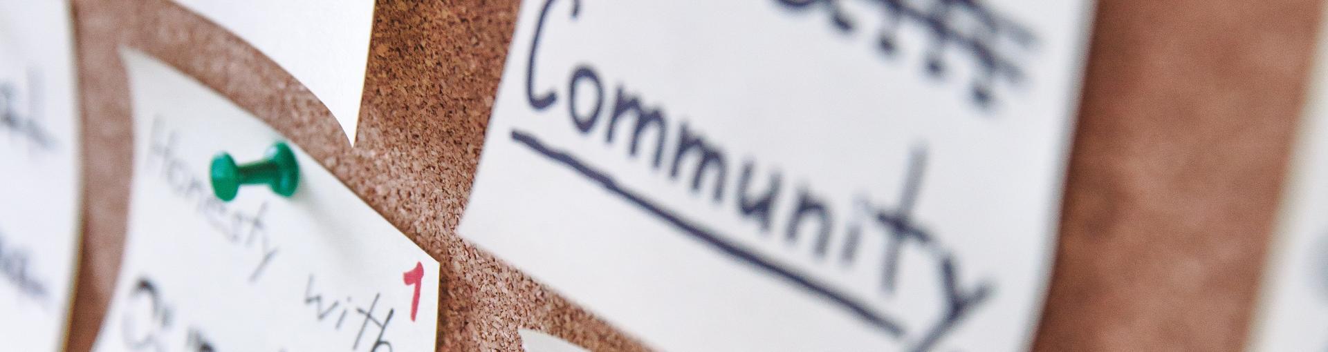 Peg board with sticky notes pinned to the board